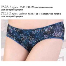 Трусы 2852-1